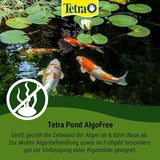 3L Tetra Pond AlgoFree floating algae and thread algae killer